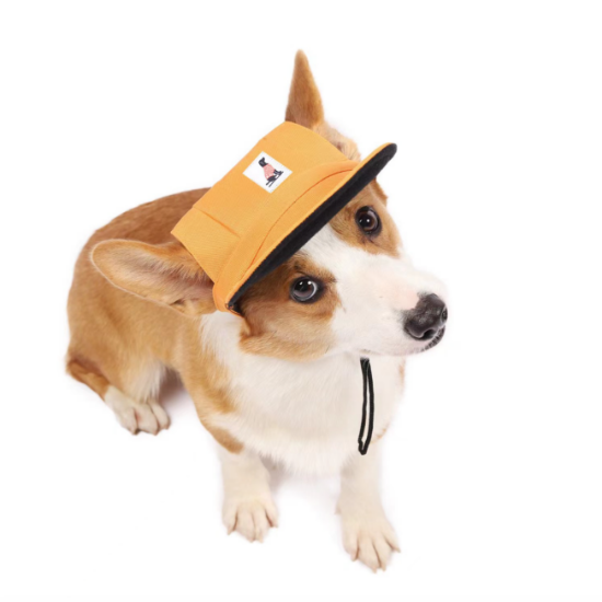 Classic Pet Hat - Digollo at Why Go Less, Lebanon