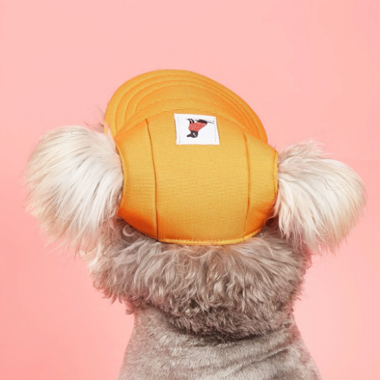 Classic Pet Hat - Digollo at Why Go Less, Lebanon (2)