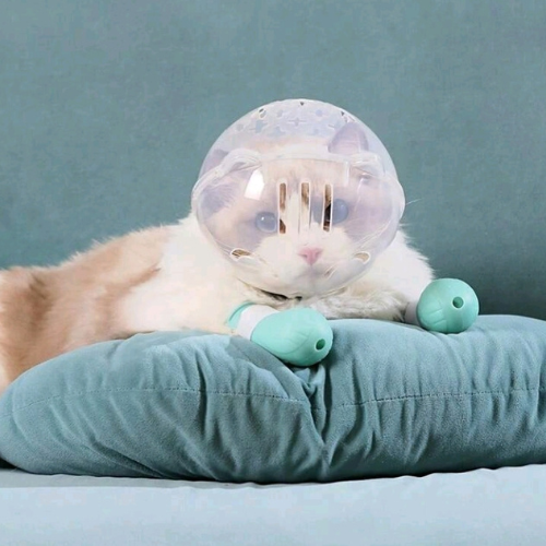 Cat Astronaut Protective Collar | Anti-Bite & Anti-Scratch Cat Helmet - Digollo at Why Go Less, Lebanon