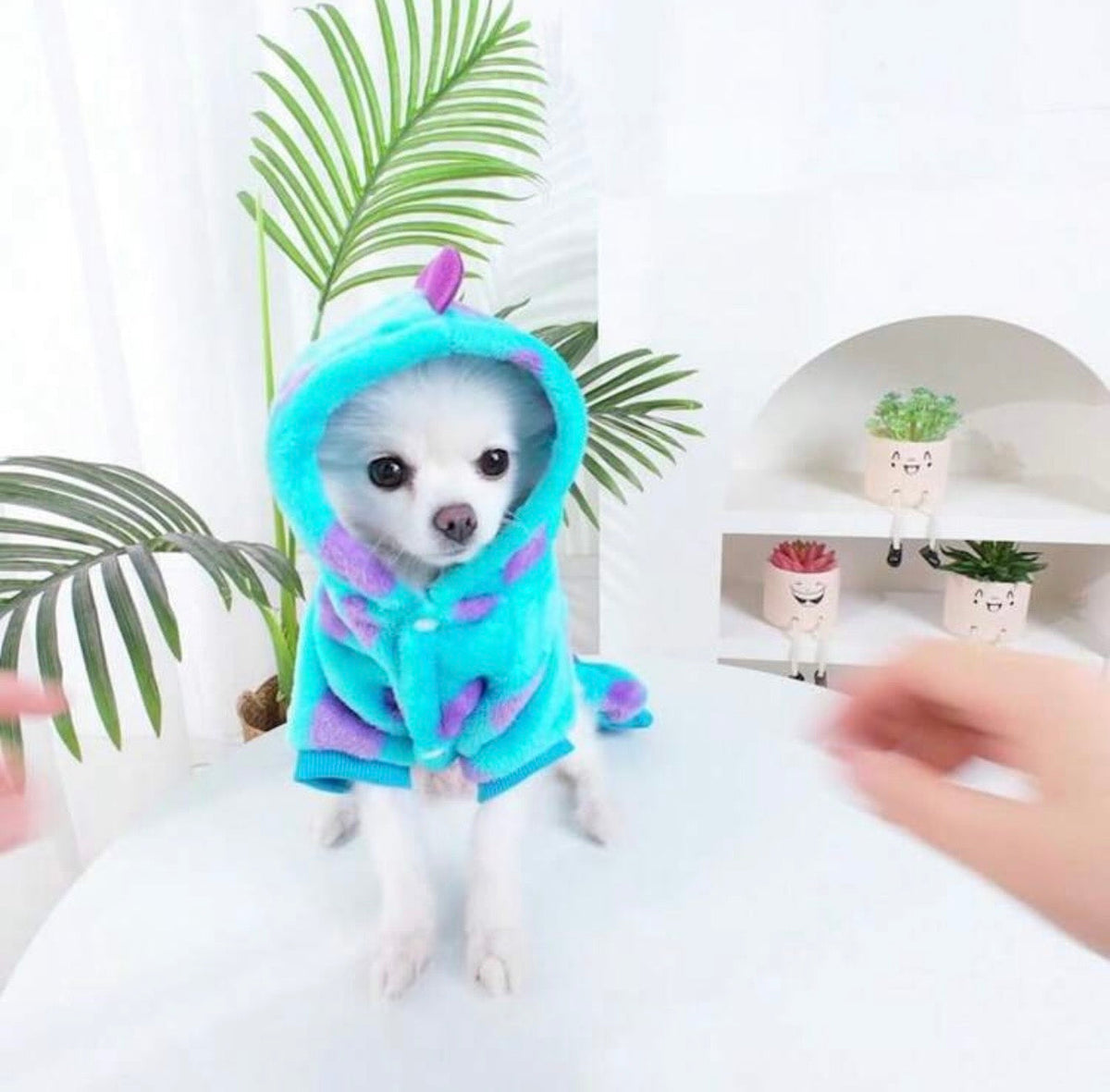 Monster Dog & Cat Jumpsuit - Digollo at Why Go Less, Lebanon (2)