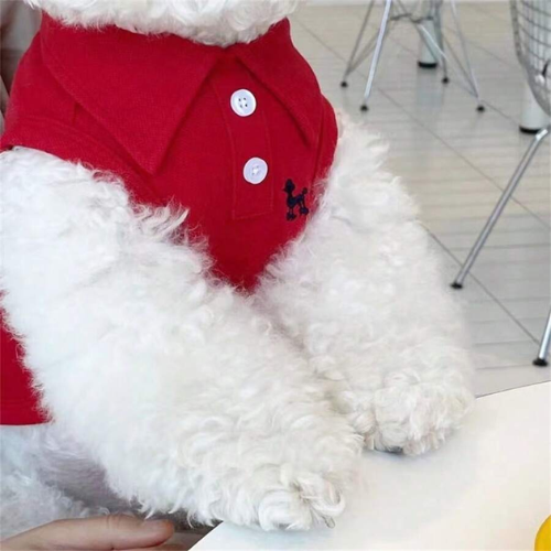 Pet Plain Polo Shirt - Digollo at Why Go Less, Lebanon