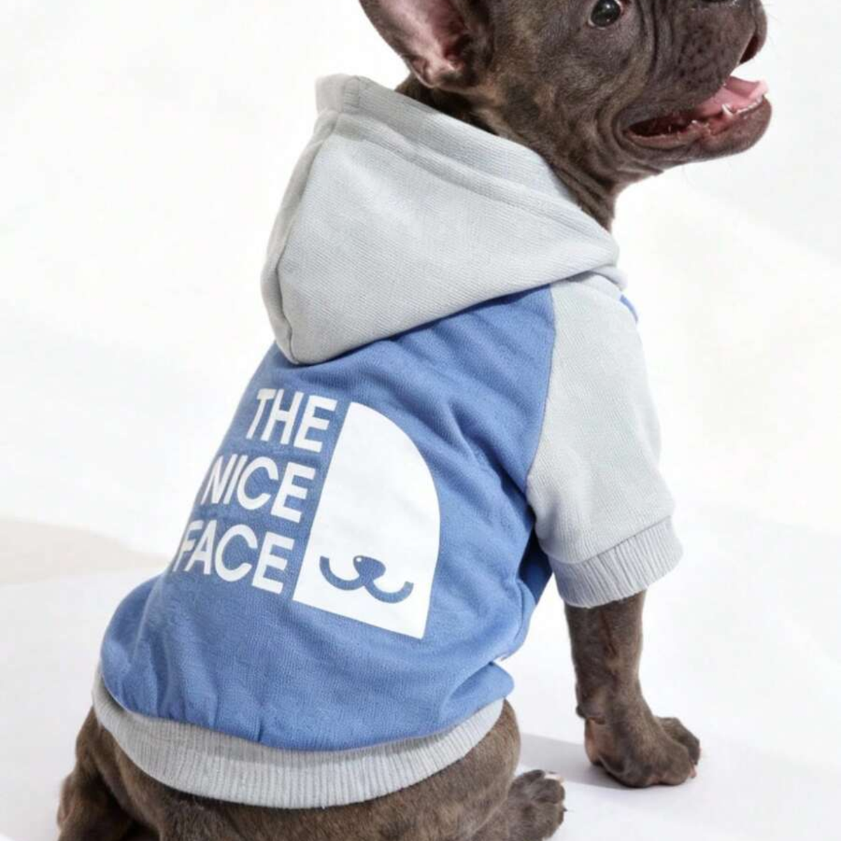 Nice Face Pet Hoodie blue - Digollo at Why Go Less, Lebanon
