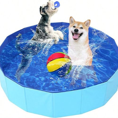Foldable Blue Pet Swimming Pool - Portable Outdoor Dog & Cat Pool - Digollo at Why Go Less, Lebanon (2)
