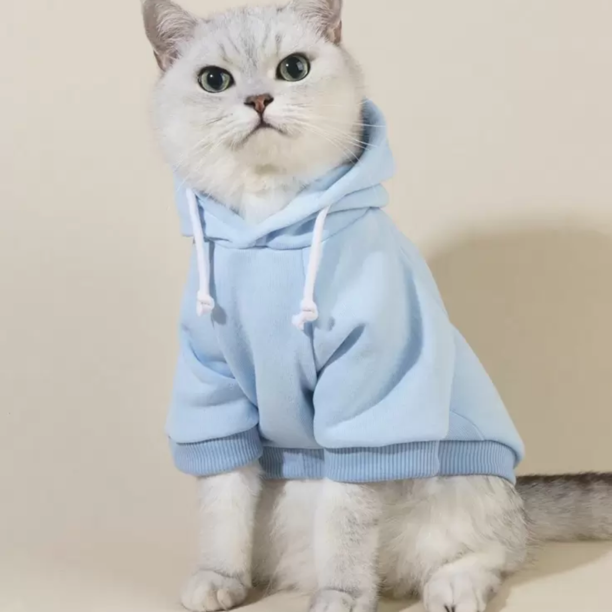 Winter Hooded Dog & Cat Sweatshirt - Digollo at Why Go Less, Lebanon (2)