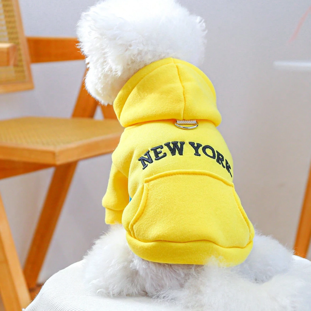 Yellow New York Dog Hoodie for Small Dogs & Cats - Digollo at Why Go Less, Lebanon