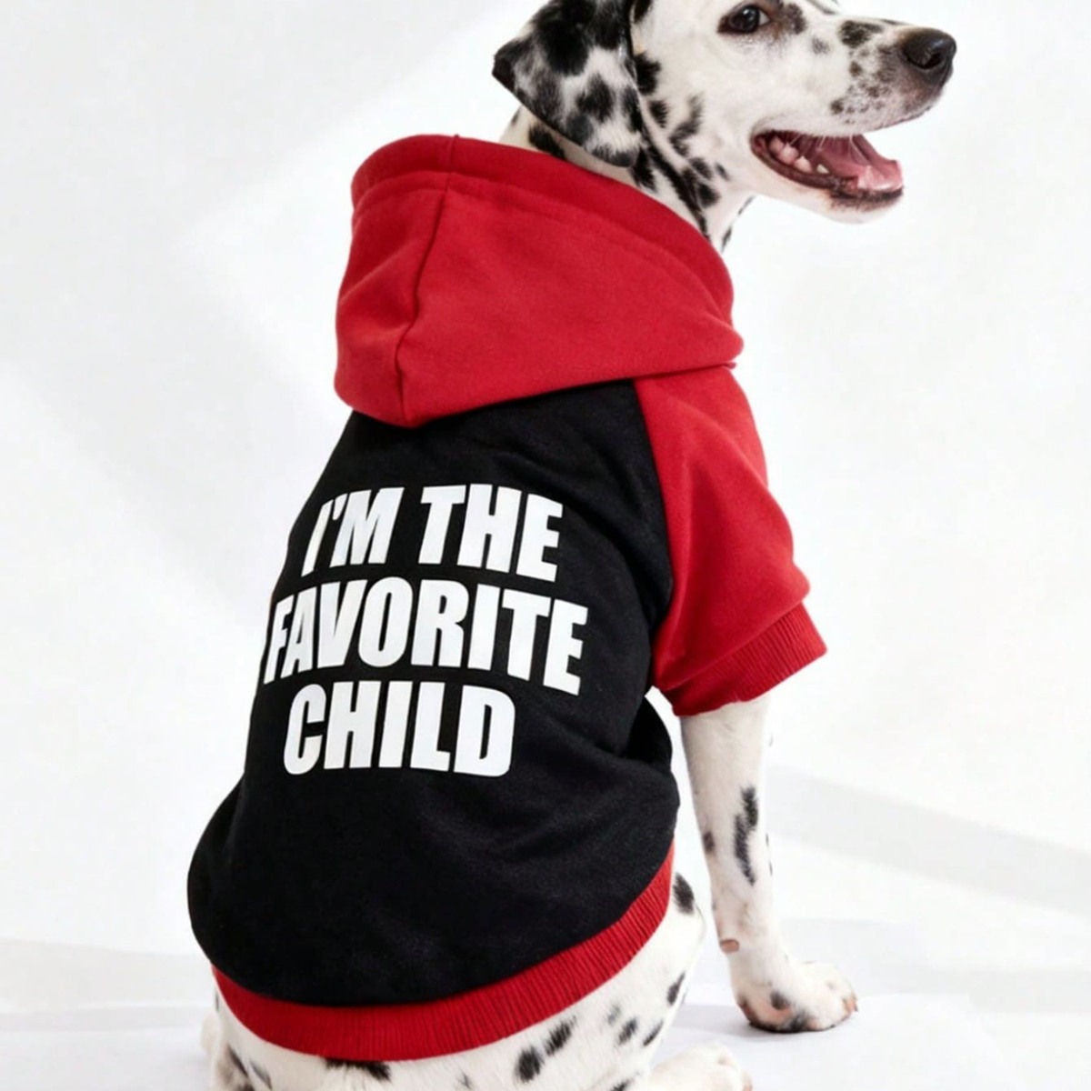 Favorite Child Pet Hoodie - Digollo at Why Go Less, Lebanon