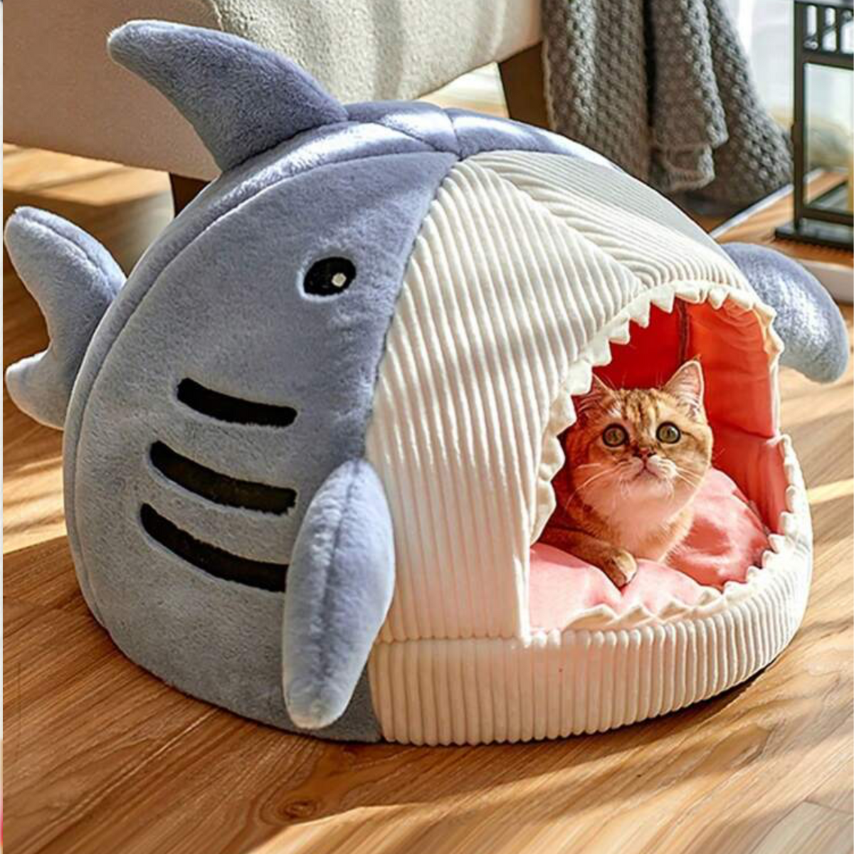Soft & Warm Enclosed Shark-Shaped Pet Bed - Digollo at Why Go Less, Lebanon (2)