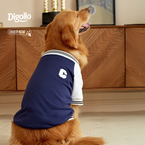 Striped Pet Cardigan Sweater With Letter Pattern - Digollo at Why Go Less, Lebanon