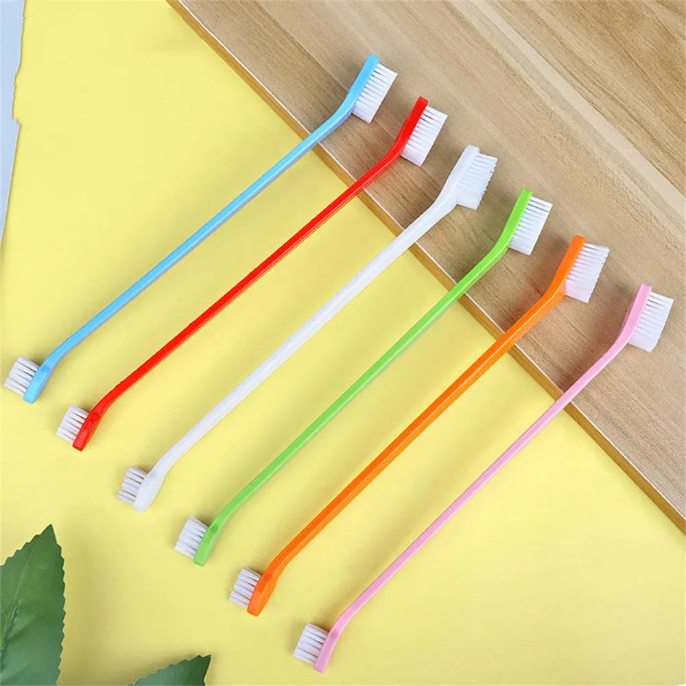 Oral Care Dog Teeth Cleaning - Digollo at Why Go Less, Lebanon