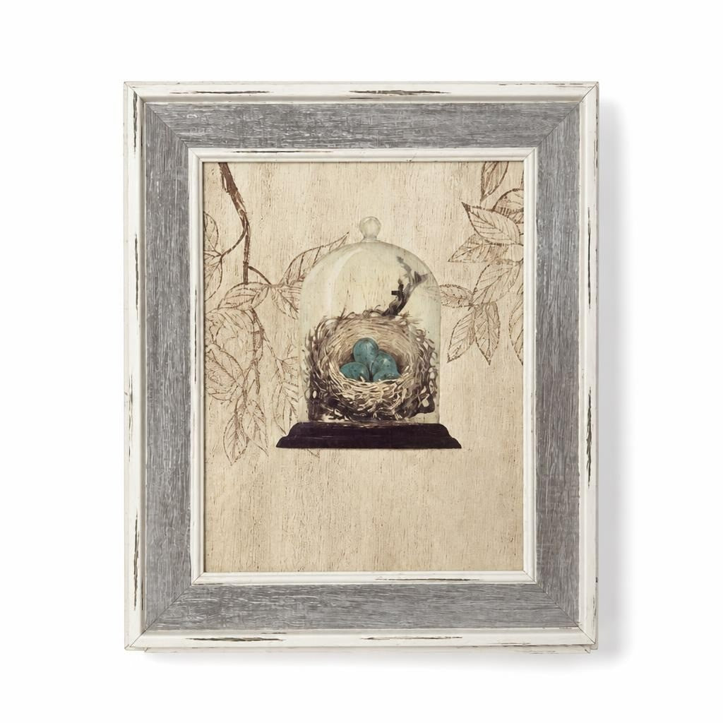 Home Center Bird Nest Glass Dome Framed Wall Art 8x10in - pre-loved at Why Go Less, Lebanon