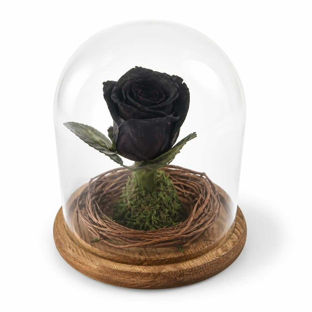 Black Preserved Rose in Glass Cloche on Wood Base - pre-loved at Why Go Less, Lebanon