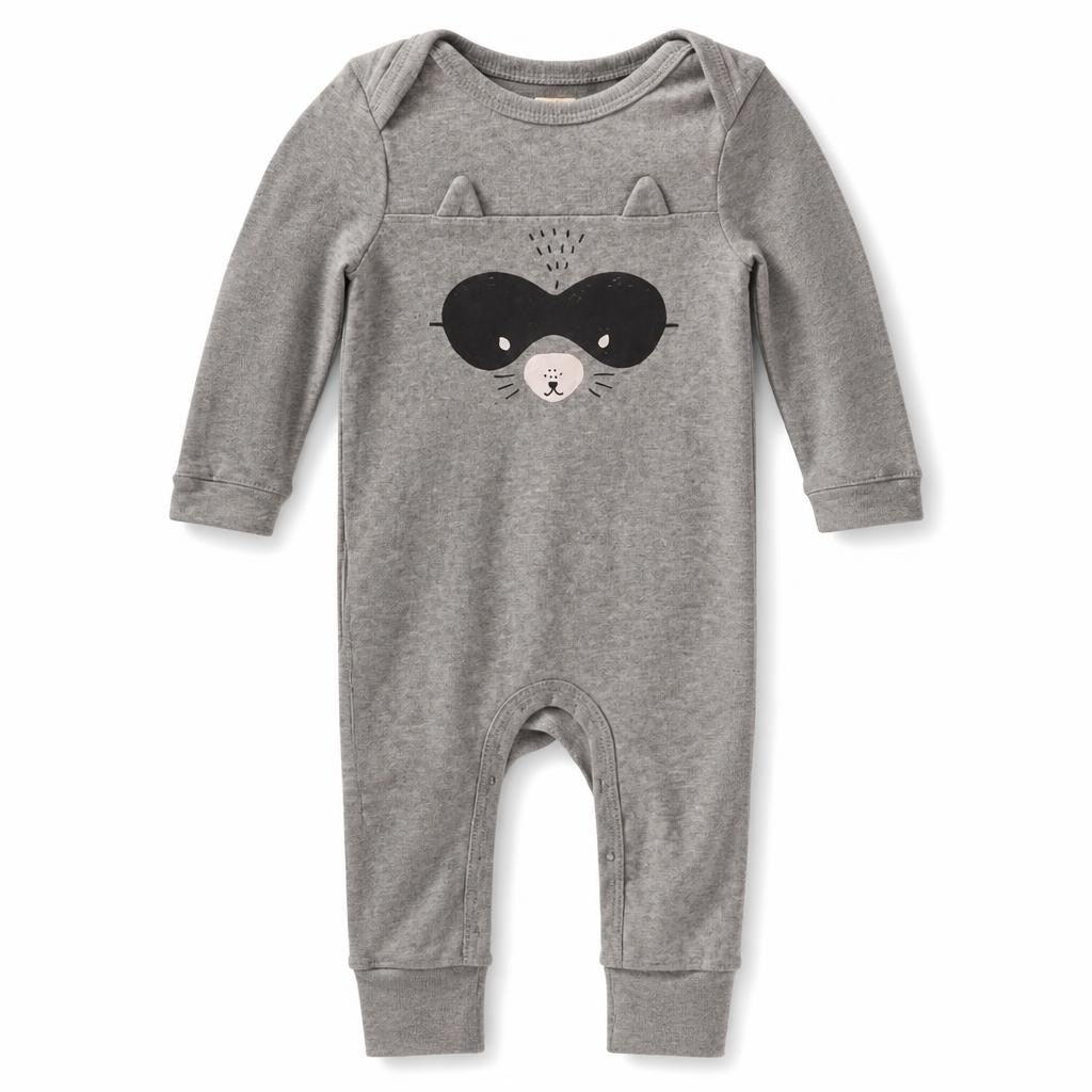 Carter's Gray Raccoon Baby Romper Onesie - pre-loved at Why Go Less, Lebanon