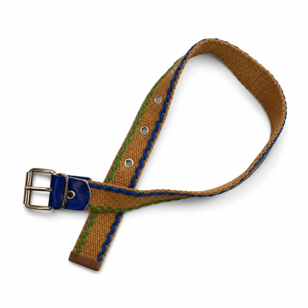 Woven Canvas Belt Tan Blue Green Stripe Buckle - pre-loved at Why Go Less, Lebanon