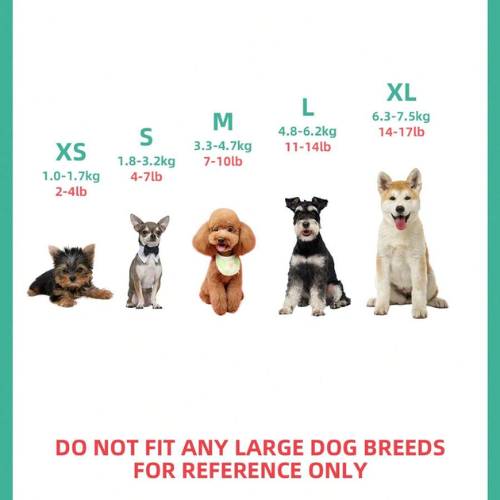 Rock Star Dog Denim Jacket for Small Dogs - Digollo at Why Go Less, Lebanon (2)