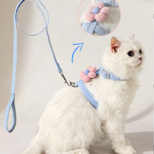Floral Harness & Leash Set - Digollo at Why Go Less, Lebanon (2)