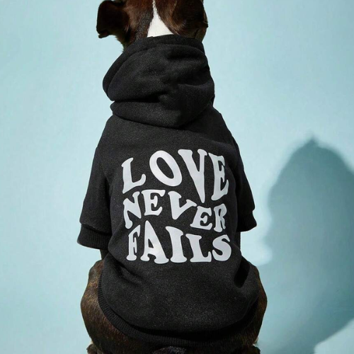 Love Never Fails - Digollo at Why Go Less, Lebanon