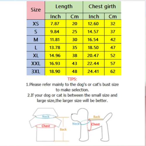 Pet Plain Polo Shirt - Digollo at Why Go Less, Lebanon (2)