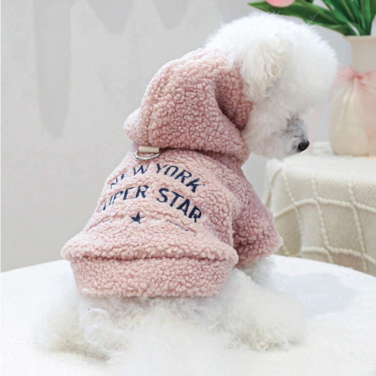 New York Super Star Pet Hoodie - Digollo at Why Go Less, Lebanon (2)
