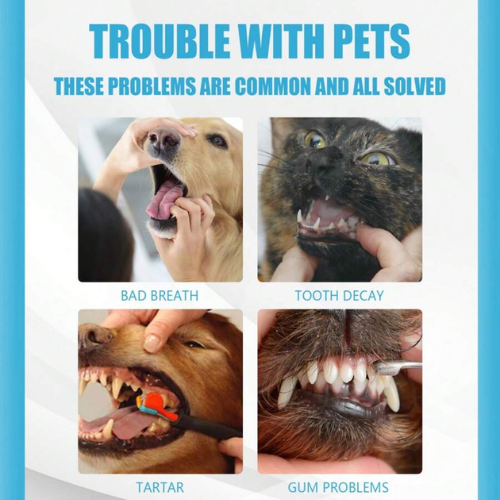 Yegbong Pet Toothpaste - Digollo at Why Go Less, Lebanon (2)
