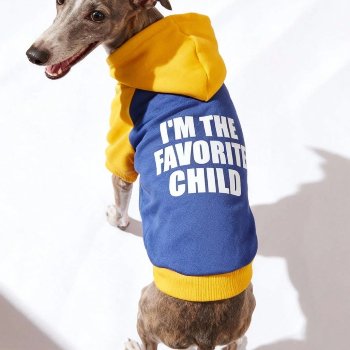 Favorite Child Pet Hoodie - Digollo at Why Go Less, Lebanon (2)