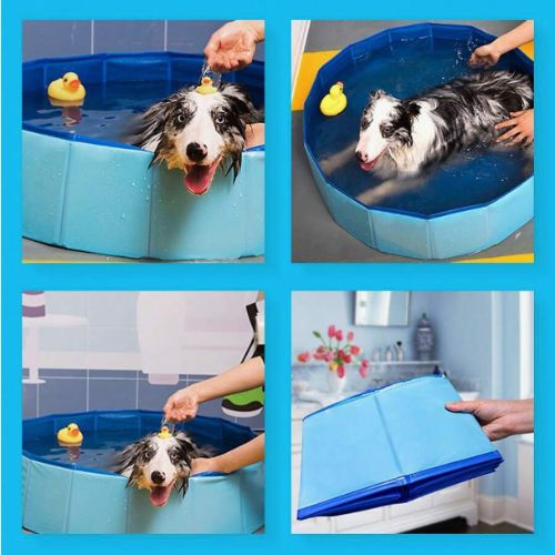 Foldable Blue Pet Swimming Pool - Portable Outdoor Dog & Cat Pool - Digollo at Why Go Less, Lebanon