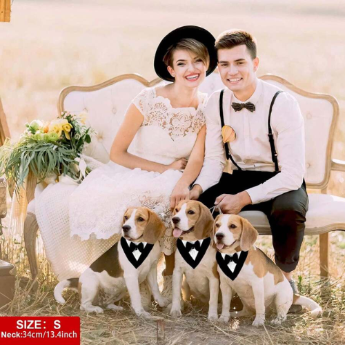 Elegant Tuxedo Bandana for Dogs Formal Bow Tie Collar - Digollo at Why Go Less, Lebanon (3)
