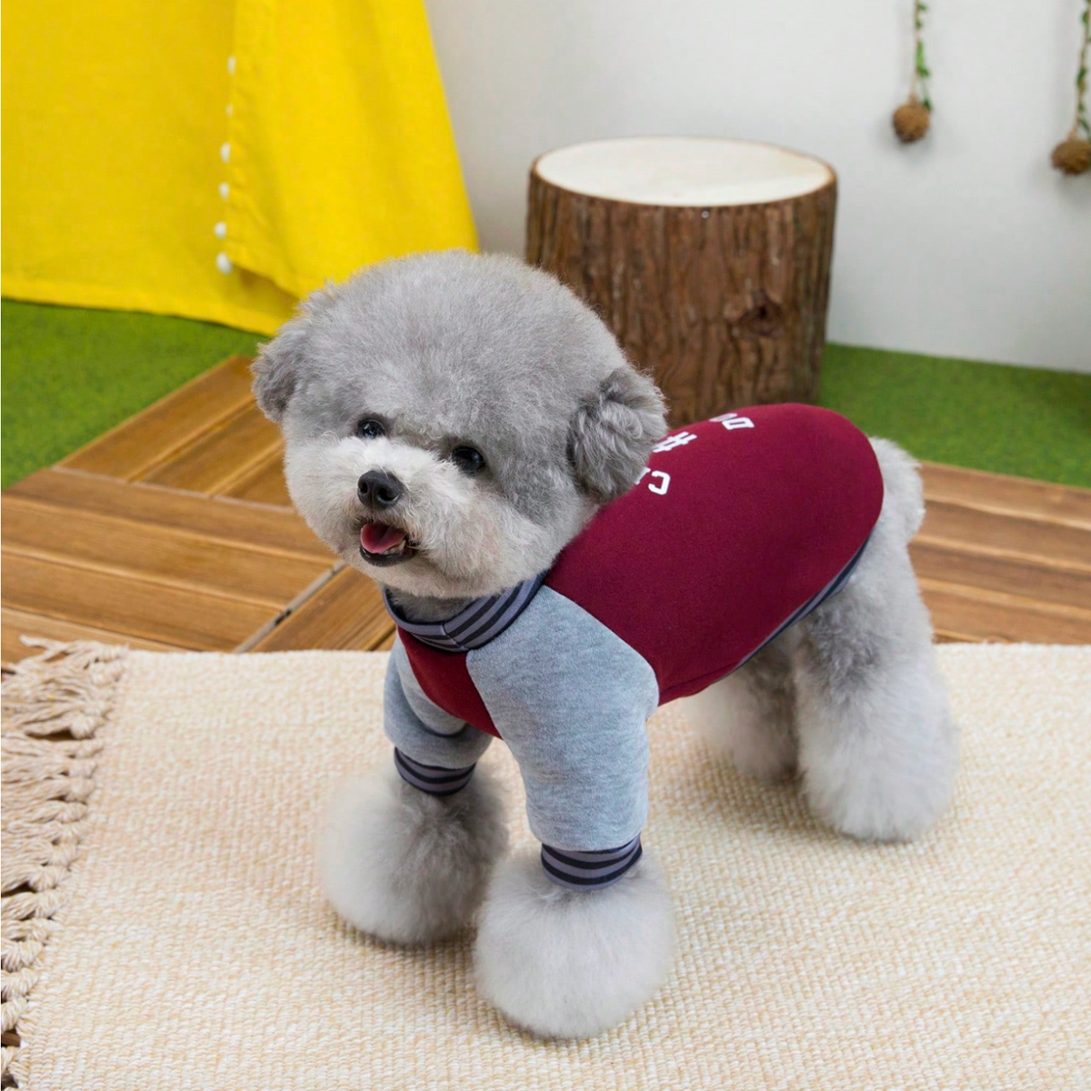 Velvet Winter Hoodie with Harness Ring for Dogs & Cats - Digollo at Why Go Less, Lebanon (2)