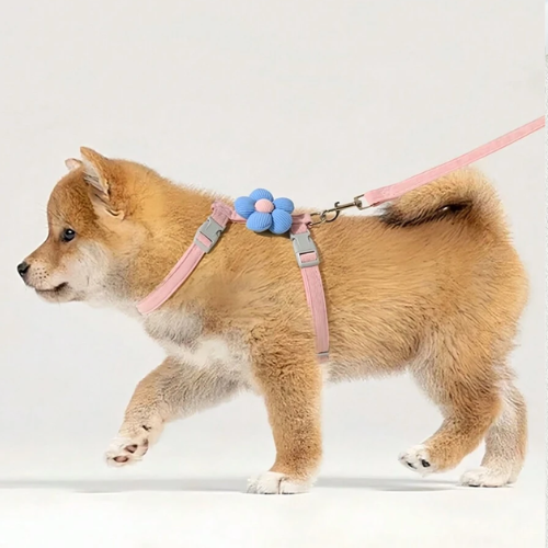 Floral Harness & Leash Set - Digollo at Why Go Less, Lebanon (3)