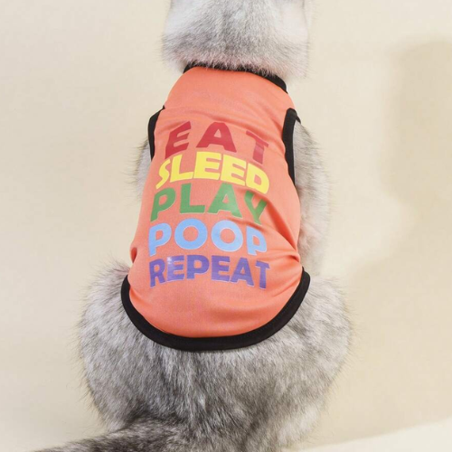 Eat Sleep Play Poop Repeat. - Digollo at Why Go Less, Lebanon