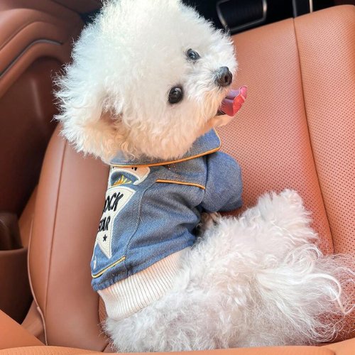 Rock Star Dog Denim Jacket for Small Dogs - Digollo at Why Go Less, Lebanon (4)