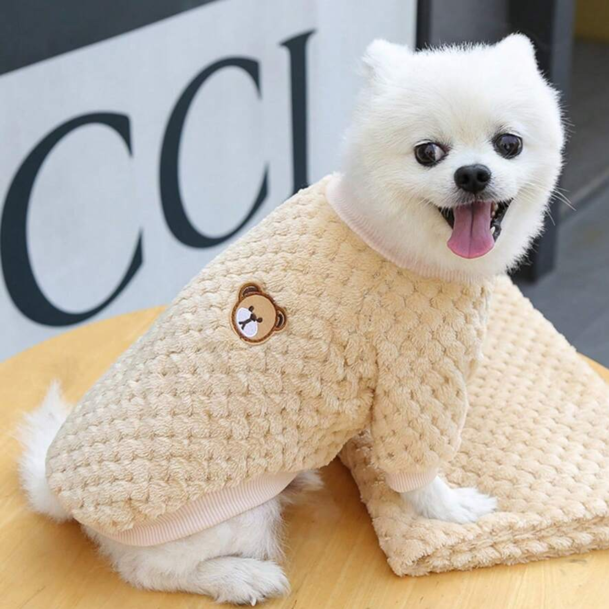 Cozy Bear Pet Tank Top - Digollo at Why Go Less, Lebanon