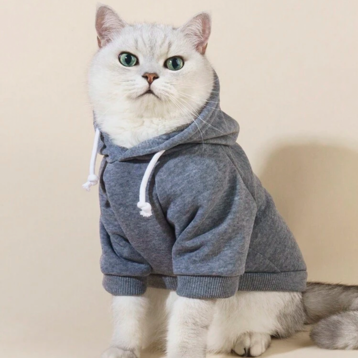 Winter Hooded Dog & Cat Sweatshirt - Digollo at Why Go Less, Lebanon (4)
