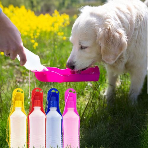 Portable Plastic Bottle - Digollo at Why Go Less, Lebanon (2)