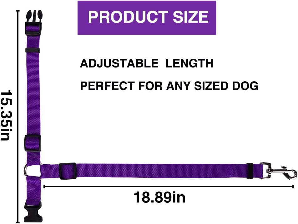 Car Seat Belt Leash - Digollo at Why Go Less, Lebanon (2)