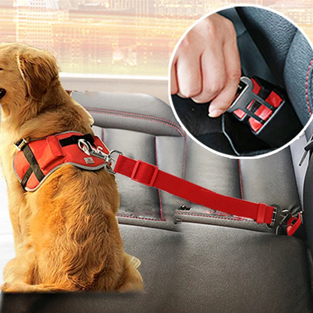 Car Pet Seat Belt - Digollo at Why Go Less, Lebanon