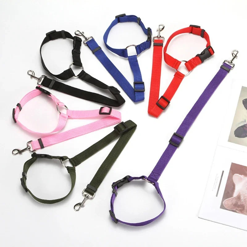 Car Seat Belt Leash - Digollo at Why Go Less, Lebanon