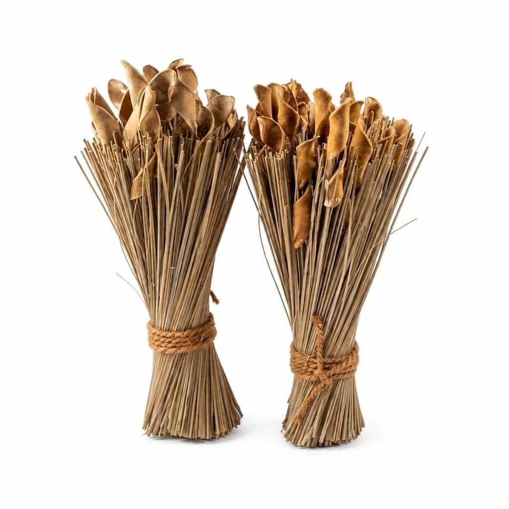 Dried natural reed/straw decorative bundle set x2 - white studio shot, second-hand at Why Go Less, Dekwaneh, Lebanon
