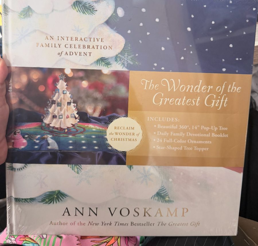 Ann Voskamp Le plus beau des cadeaux livre | Occasion | Pourquoi se contenter de moins-1