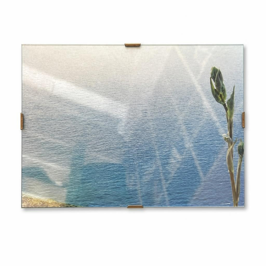 Carte laminée avec impression photo Branche d'olivier et mer bleue | Occasion | Pourquoi se contenter de moins