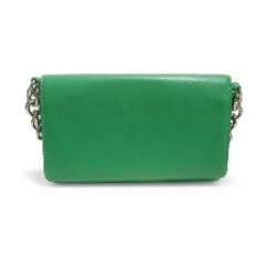Green Crossbody Mini Bag - at Why Go Less, Lebanon