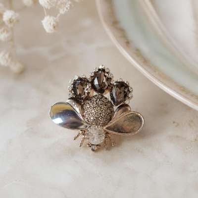 Silver crystal insect fashion brooch pin - lifestyle shot, second-hand at Why Go Less, Dekwaneh, Lebanon