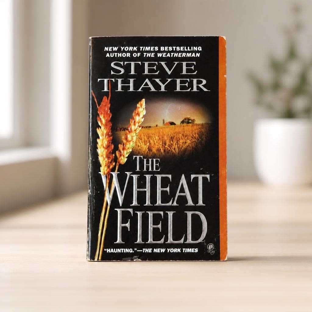 The Wheat Field - Steve Thayer paperback thriller - on surface shot, second-hand at Why Go Less, Dekwaneh, Lebanon