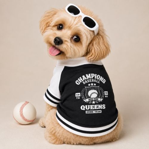 Champions Baseball Dog Varsity Jacket - Black & White - Digollo at Why Go Less, Lebanon