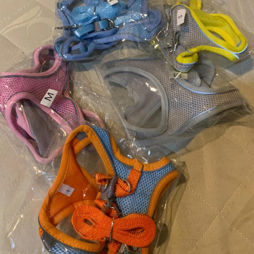 Reflective No-Pull Dog Harness - Breathable Mesh Vest with Safety Clips - Digollo at Why Go Less, Lebanon (2)
