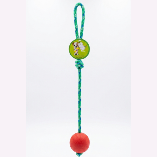 Durable Dog Rope Toy with Red Rubber Ball & Handle Loop - Digollo at Why Go Less, Lebanon