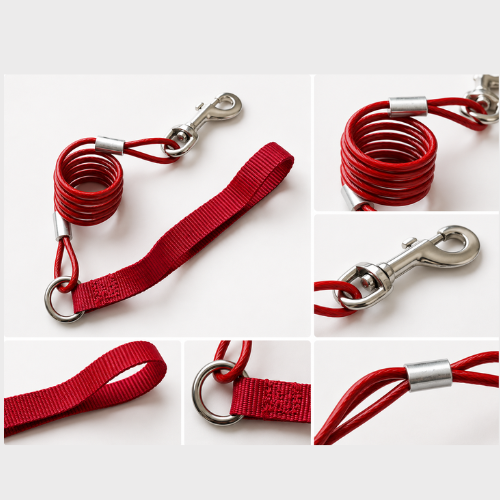 Heavy Duty Anti-Pull Coiled Spring Dog Leash - Digollo at Why Go Less, Lebanon