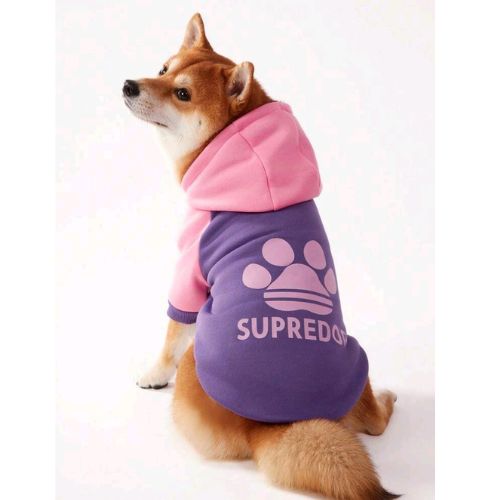 PETSIN Colorblock Superdog Raglan Sleeve Pet Hoodie - Pink & Purple - Digollo at Why Go Less, Lebanon
