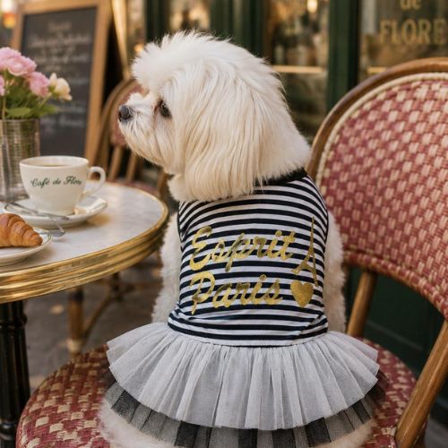 Chic Striped Dog Tutu Dress Esprit Paris Dog Clothes - Digollo at Why Go Less, Lebanon
