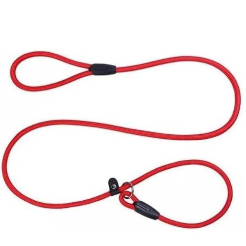 Heavy Duty Nylon Rope Slip Lead Dog Leash - Adjustable No-Pull Training Lead - Digollo at Why Go Less, Lebanon
