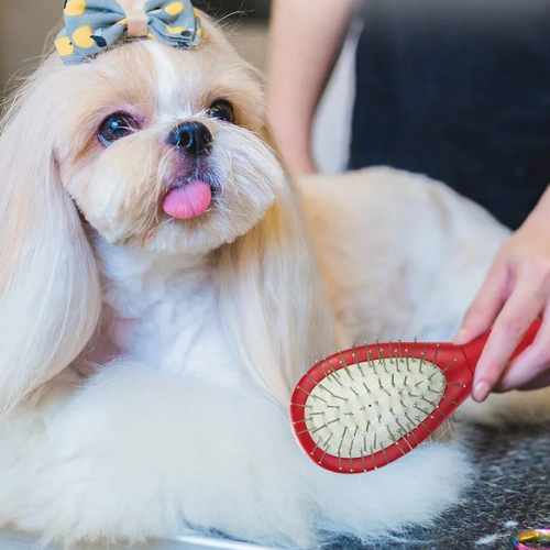 Professional Metal Pin Dog Grooming Brush - Gentle Detangling & Undercoat Comb - Digollo at Why Go Less, Lebanon (2)